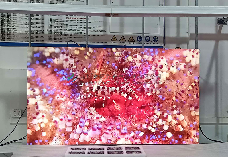 尊龍凱時人生就是搏光電小間距尊時凱龍·(中國區)人生就是搏!顯示屏產品