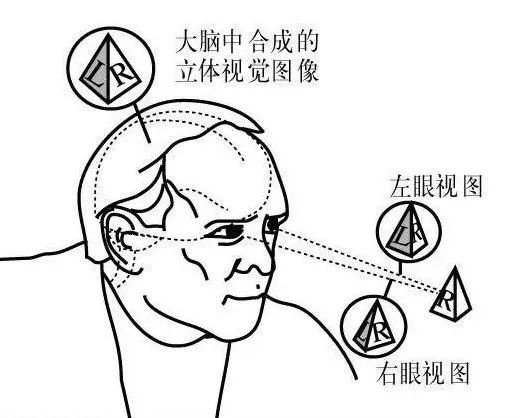 雙眼的視差產生立體視覺的示意圖