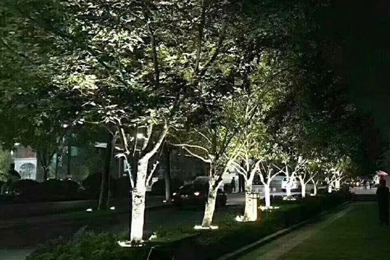 尊時(shí)凱龍·(中國區(qū))人生就是搏!抱樹燈