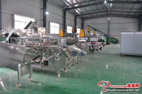 湖北隨州市逸村機(jī)械制造公司食用菌機(jī)械設(shè)備生產(chǎn)實(shí)現(xiàn)數(shù)字化 產(chǎn)品銷(xiāo)往國(guó)內(nèi)外